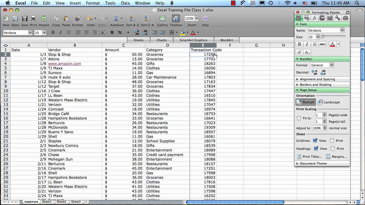 excel for mac 2008 tutorial